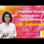 Energi Terbarukan di Indonesia | The potential of Renewable Energy in Indonesia | Bicara Energi